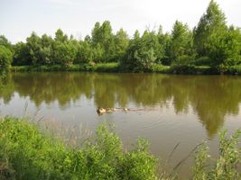 Berounka 1 - Radotín 3..6.11-2.JPG